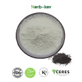 Black Sesame Seed Extract Sesamin Powder