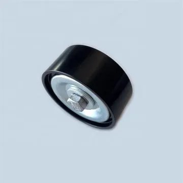 Russia Market: Lada T36413 8200598966 Tensioner Pulley Bearing with Large Inventory for Sale