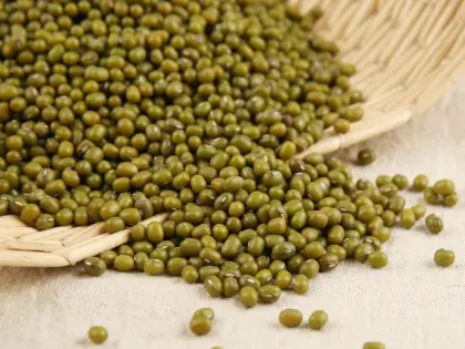 Green Bean Baby Food