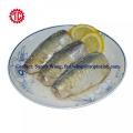 Conservas de peixe sardinha embaladas