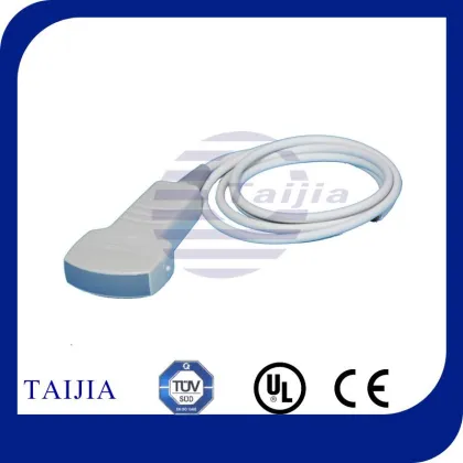 Type-B Ultrasound probe