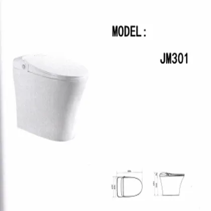 smart toilet one piece bidge toilet