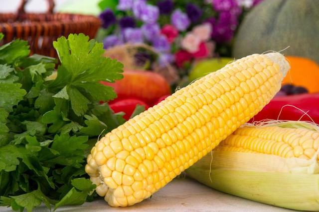 food corn food corn
