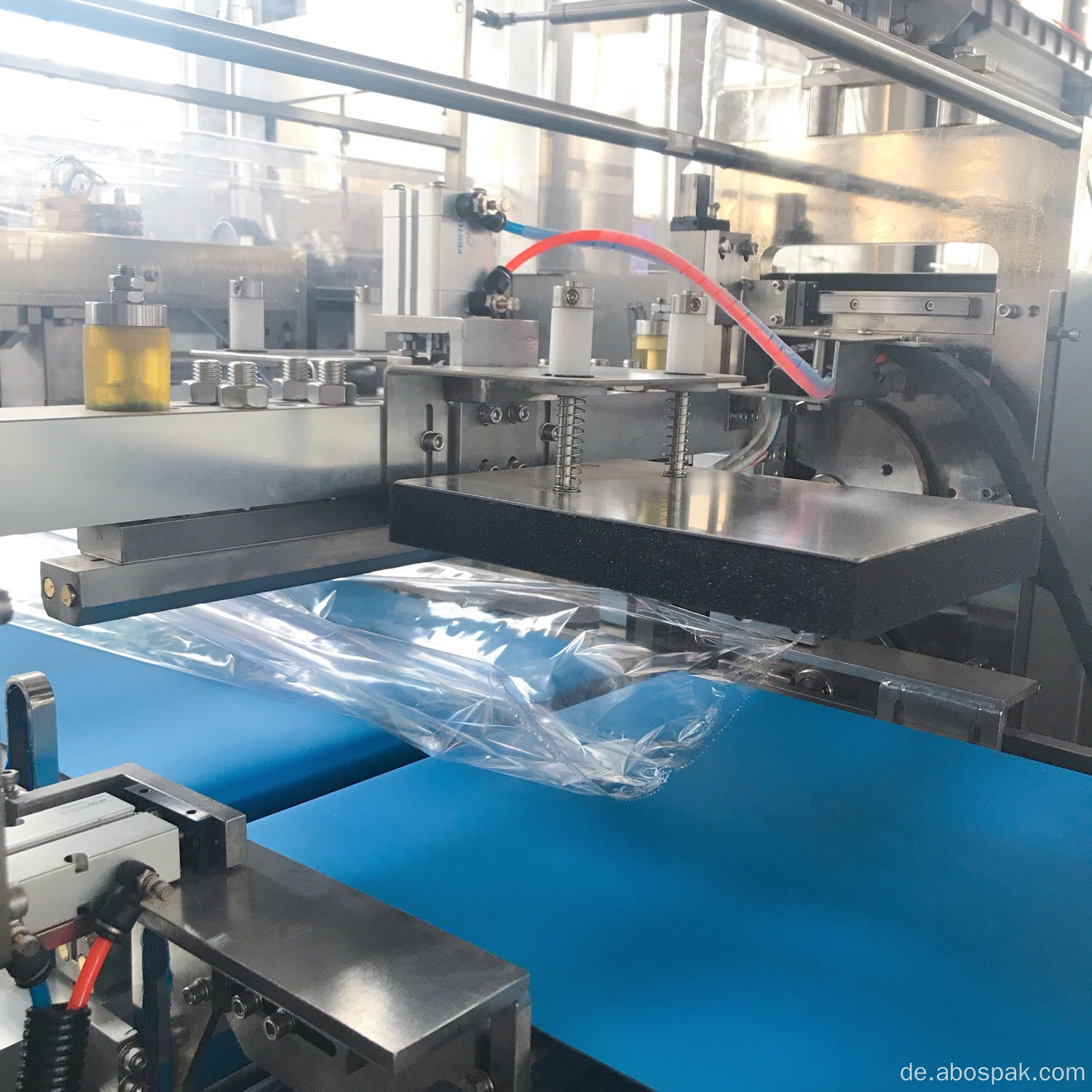 Horizontale automatische Chapati Pita Brotverpackungsmaschine