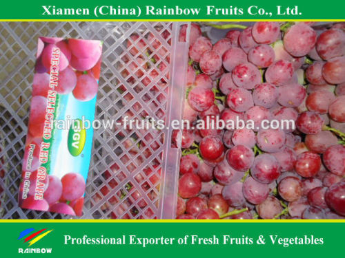 Chinese fresh red grape