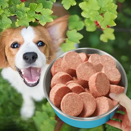 Durable Non-Skid Insulated Rubber Bottom Pet Bowl