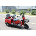 Electric tricycle with people and cargo