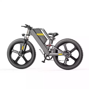 Hot Selling 750W 1000W Motor E-Bike Fat Tyre Mountain Bike-EB-QR6062