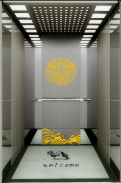 Factory price stainless steel home elevator