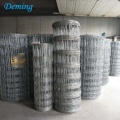 /msite/products/detail/productid/57027927/id/666379.html