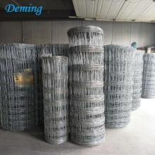 Factory Galvanized Fixed Knot Field Fence for Sale