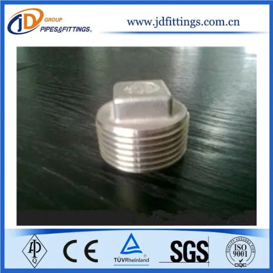 DIN Stainless Steel Outer Thread Square Head Plug