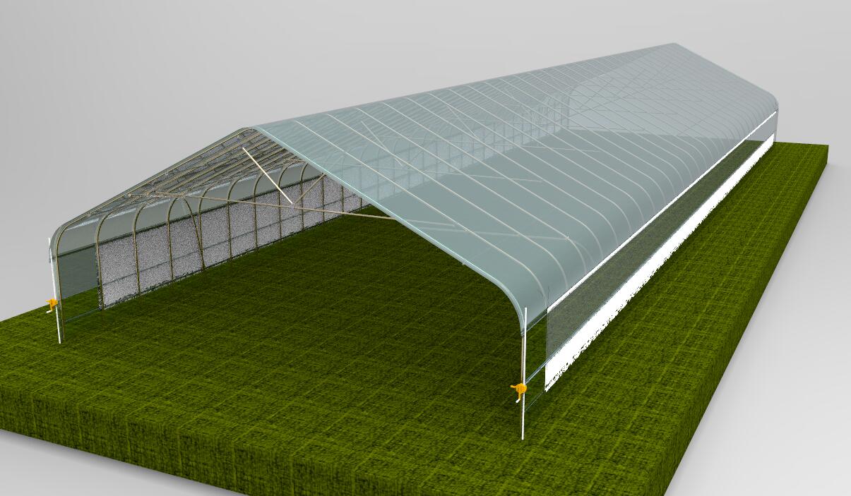 Tunnelgreenhouse 2