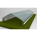 Skyplant Plastic Film Vegetables Greenhouse Greenhouse