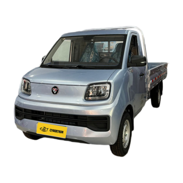 Манакокавы мікрагрузавік Foton Sapling Q