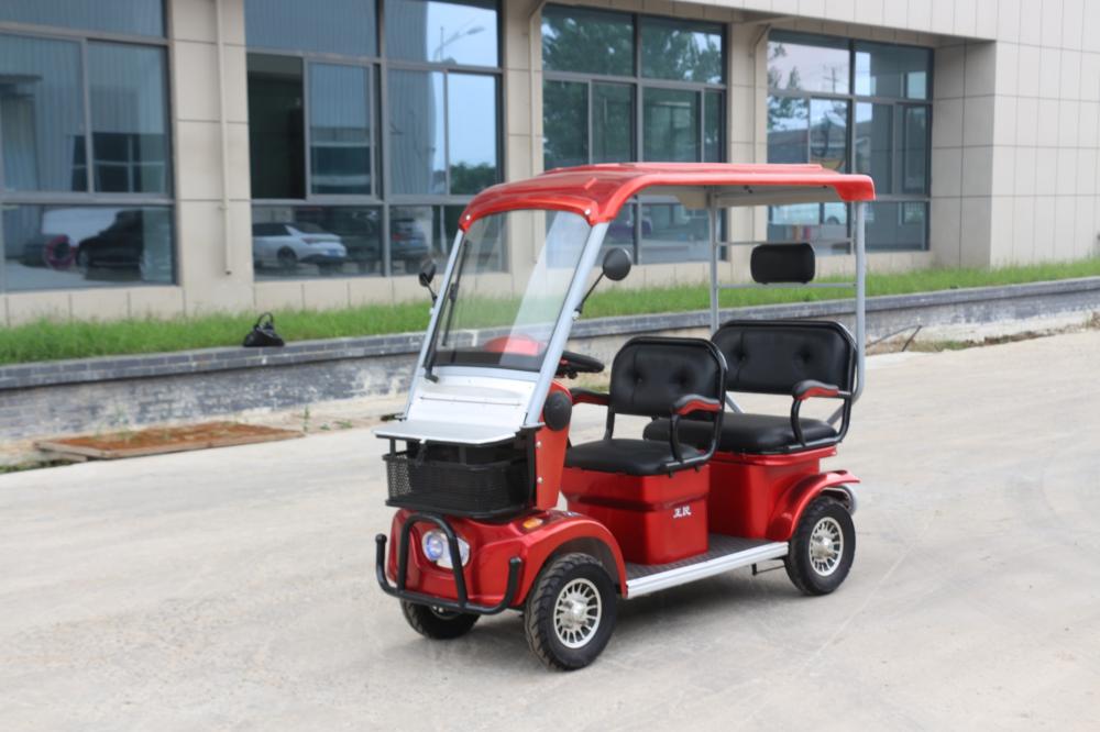 Voiture de touriste électrique