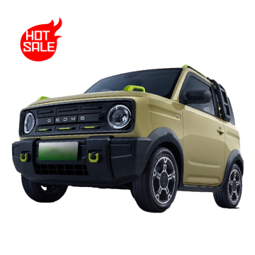 2024 Geely New Generationのトップ装備EVカー：パンダ