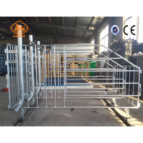 Modern automatic husbandry swine farm equipment nursery pen