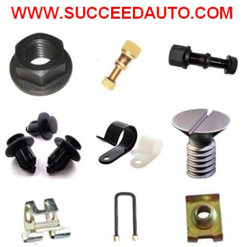 Auto Fastener, Wheel Bolt Fastener, U Bolt Fastener, Spring Clip Fastener, U Nut Fastener, Screw Fastener, Rivet Fastener, Plastic Fastener, Metal Fastener