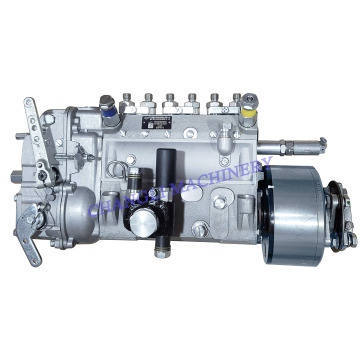 CY6102BG Fuel Injection Pump for Forklift - Dongfeng Chaoyang Diesel Engine Parts