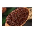 High Quality Perilla Seeds