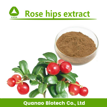 Rose Hip Extract Powder 10:1 Natural Oxidants