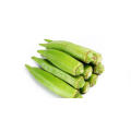 Okra Extract Powder Tooning Nier Ingrediënten