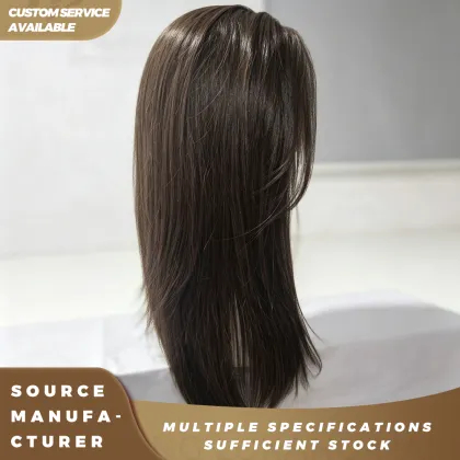 Highlight Brown Straight Lace Front Wig