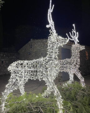 RayTop Lighting Super Quality 3D LED Christmas Deer Decoration Lights for Street Displays