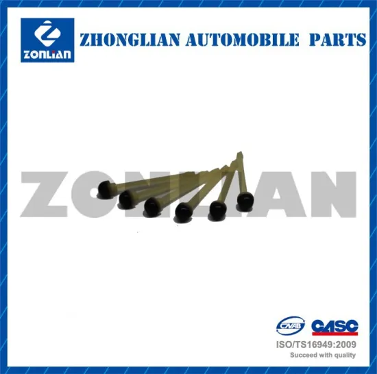 Custom Auto Rubber & Plastic Check Valve Core /Spool