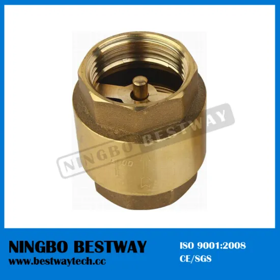 Female Brass Spring Loaded Check Valve with brass Core