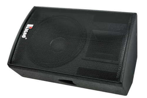 Professional Speaker (Monitor)