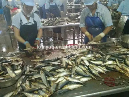 canned sardines in brine in club can