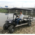 6 seater gas powered golf cart for sale