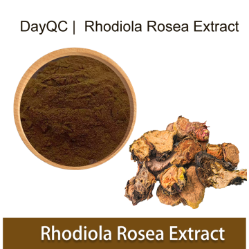 Campione libero puro naturale rhodiola rosea estratto in polvere