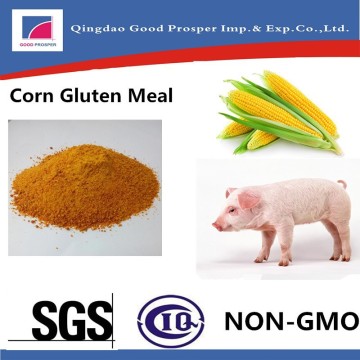 Feed Additives CGM