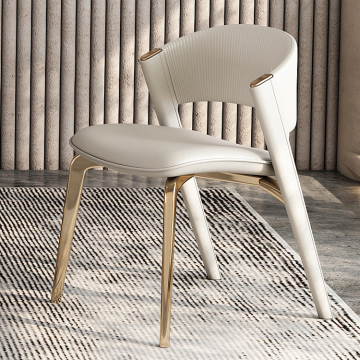 Dining Chair With Steel Frame