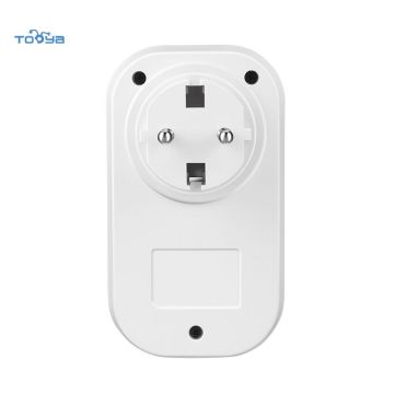 Smart Plug BSD02 HomeKit WiFi Mesh 16A - Custom Firmware Based on ESP Series for Smart Home
