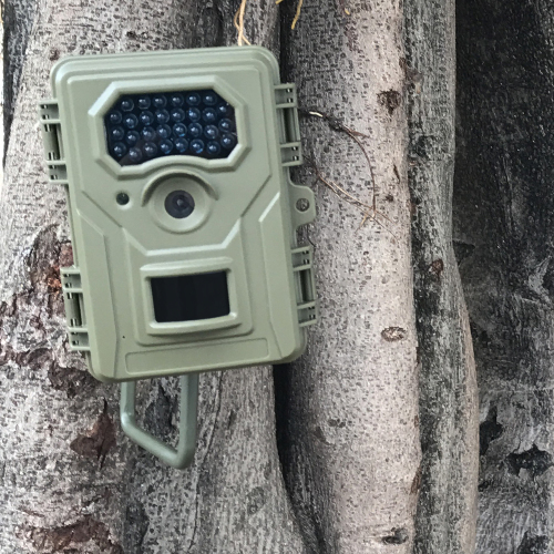 Macchina fotografica del camuffamento di verde dell'esercito di 940nm PIR