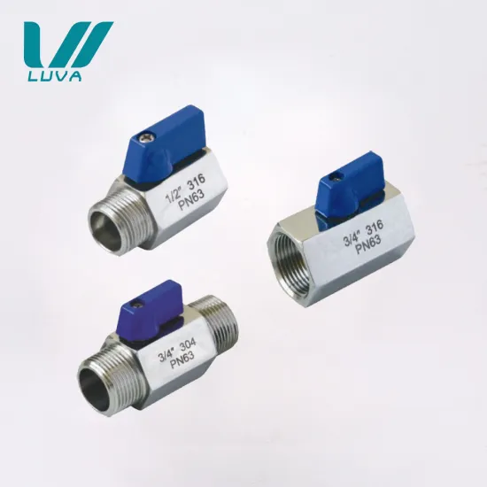 PN63 Npt bspt bsp female male threaded ss304