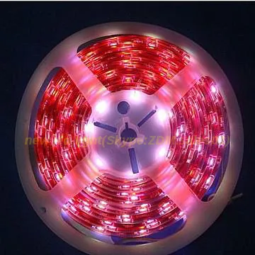 100m/roll led strip light 220-240v for billboard&machine&car