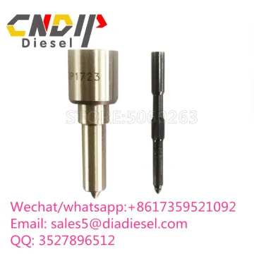 Common Rail Nozzle DLLA140P1723