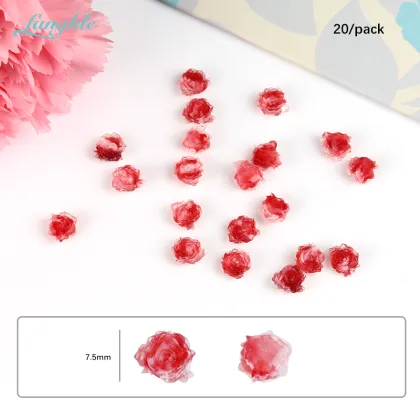 Fangkle 3D Nail Flower Resin Rhinestones Decorations