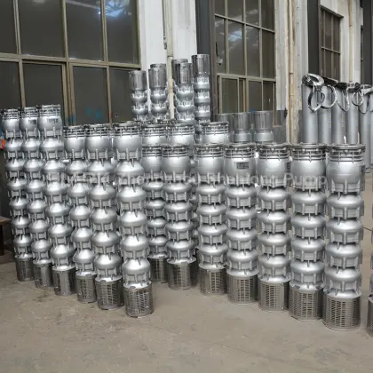 10inch Stainless Steel Deep Well Submersible Well Pump