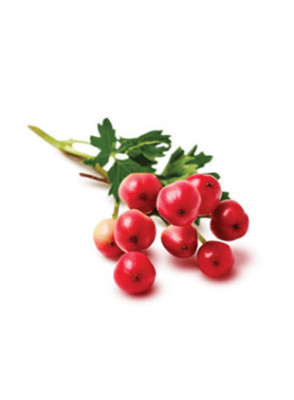 Organic Hawthorn Berry Powder for Natural Health