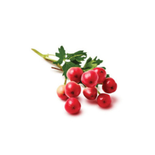 Organic Hawthorn Berry Powder for Natural Health