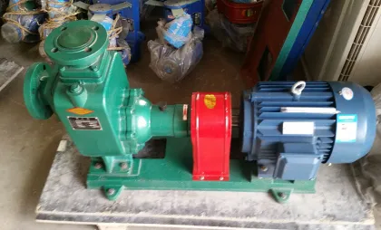 Marine bilge sea water pump