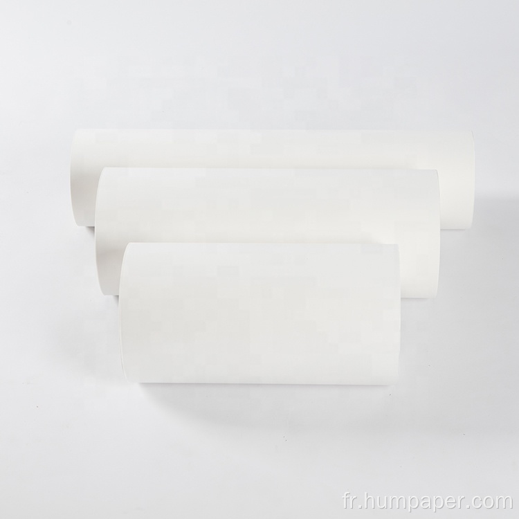 100 g rouleau de papier de transfert de sublimation collante pour tissu