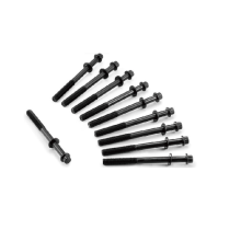 11117-69G00 головка цилиндра болта