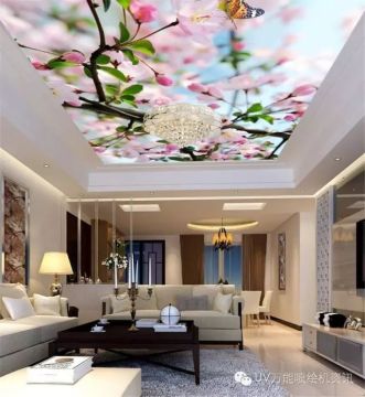 Digital Direct to Wall Inkjet Printer